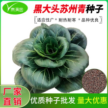 ڴ^KNӺ~_KϺļ̨߲˷N