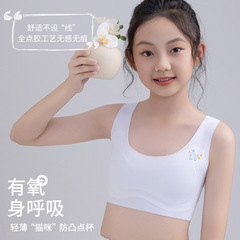 Undergarments for girls during puberty, middle school students, junior high school students, high school students, young girls, and older girls.