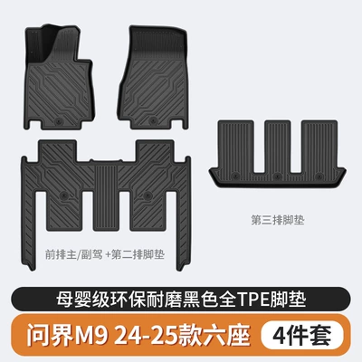 Modelə uyğun ayaqaltı Tpe Car Floor Mats and - wenjie-m9-six-seater-tpe-floor-mats-single-layer
