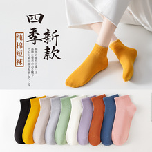 �½���Ů�m�ﶬ��Ůʿ���޶��m��ϵ�����ٴ�ȫ�޼�ɫ��������
