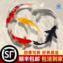 ��S�\���~���^�p�~���w������ˮ���N�t�ײݽ��~���~��ˮ���B�ͻ�