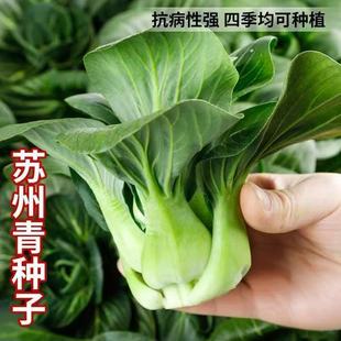 �K����N���ļ���С�Ͳ��߲˷N�Ӳ���С����＾�N�̨�����ļ�