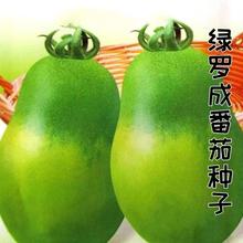 �G�_�ɷ��ѷN�����t��������������ļ��߲����߲˷N�Ӽ�ͥС����