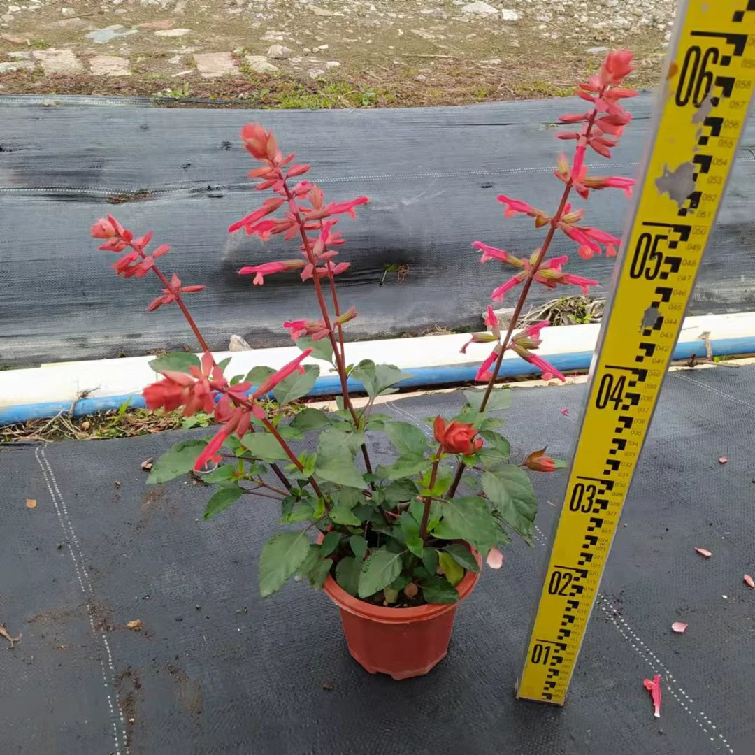 2201 база оптовая поставка