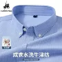 商务基础春秋季竖条纹男衬衣