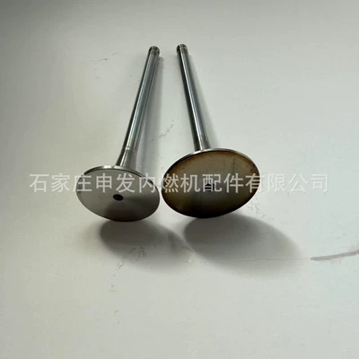 In stock: Deutz 2011 intake valve 4170491, exhaust valve 170899 (Valves and components)