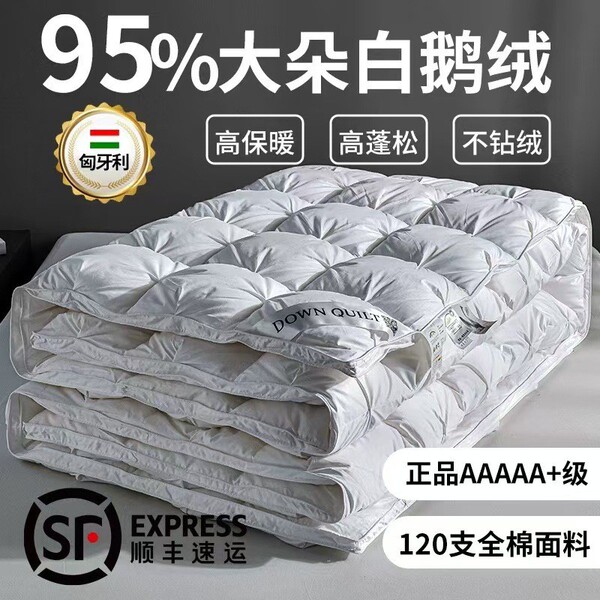 Hungarian down quilt genuine A-class 95 white goose quilt core pure…
