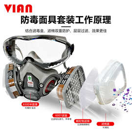 VIAN防毒面具650P喷漆专用化工气体防异味工业粉尘打农药防护口罩
