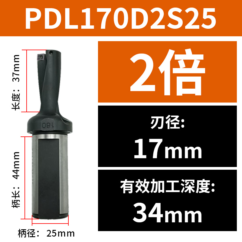 PDL170D2S25