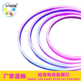 LED灯带;LED灯控制器;LED装饰灯