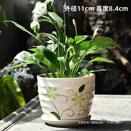多肉花盆陶瓷带托盘价大口径大号发财树盆家用多肉的花盆其他卡通