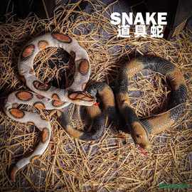 仿真动物模型软胶眼镜蛇大蟒蛇响尾蛇黄金蟒蛇青蛇万圣节整蛊玩具