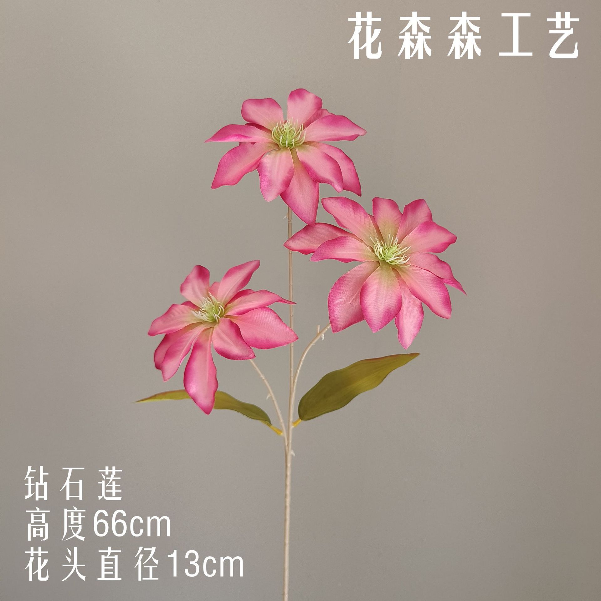 다이아몬드 연꽃 130411