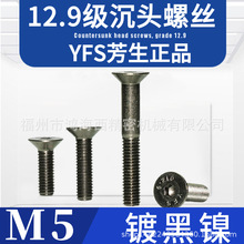 M5僺12.9YFS^ݽz˨ӲߏDIN7991Cе