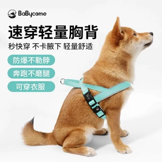 跨境狗狗项圈柴犬牵引绳胸背狗绳网红小型犬中型比熊泰迪柯基用品