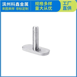 M5 Kayak Canoe Boat Track Screw Nut Gear Mounting Screw Fixing Fishing Rod Bracket Camera Bracket