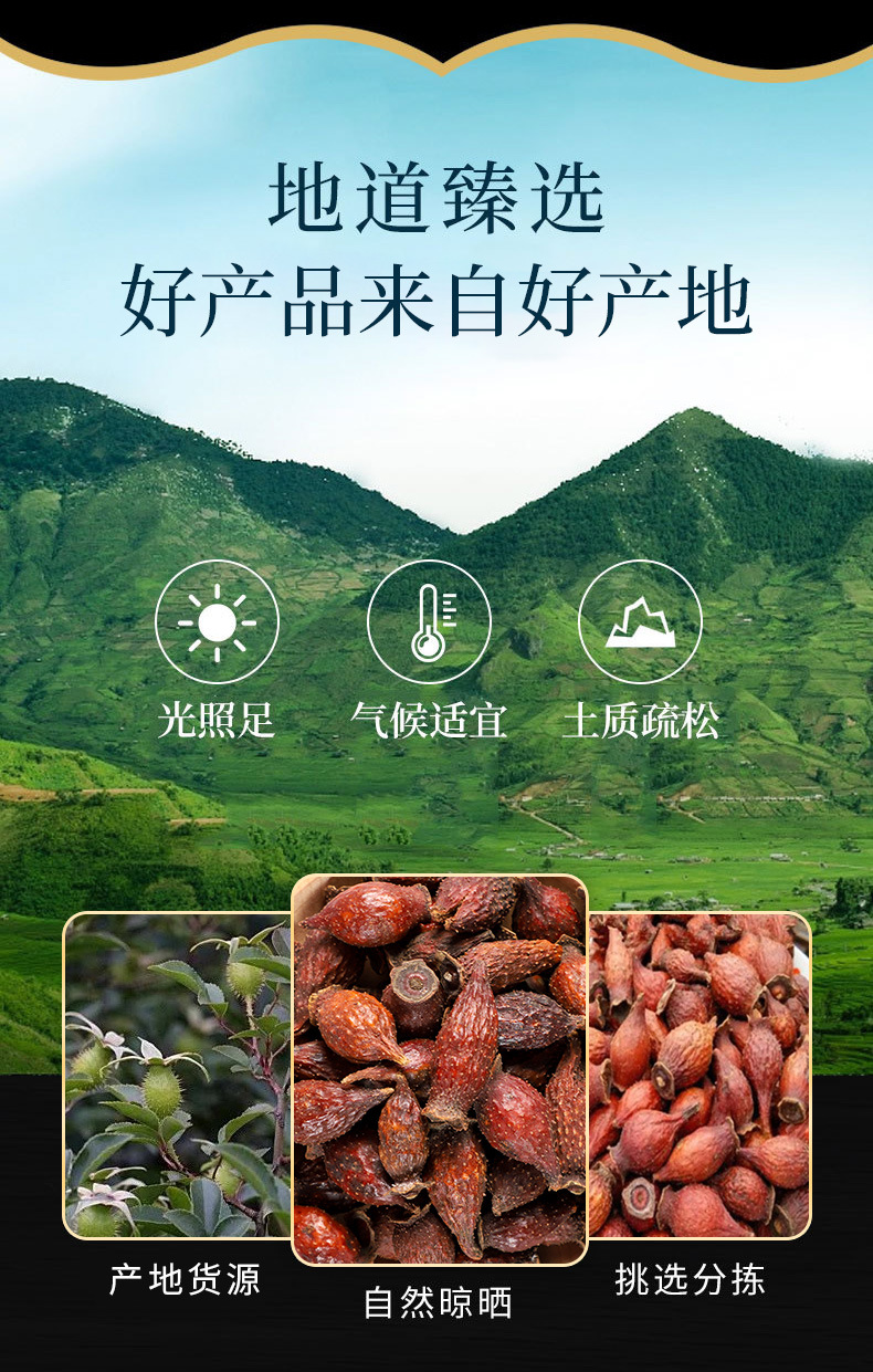 Jin Ying Zi (Rosa laevigata) — Dried Cherokee Rose Fruit for Herbal Tea & Soup overview