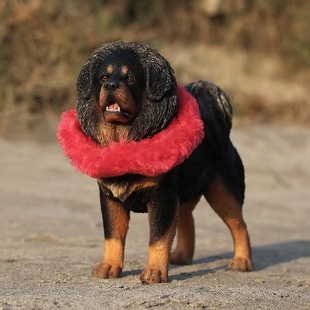 ����/��Ȯģ��1/6�������ģ�����k�Ҿ��b[���YƷ�Y�ﹷ����߅