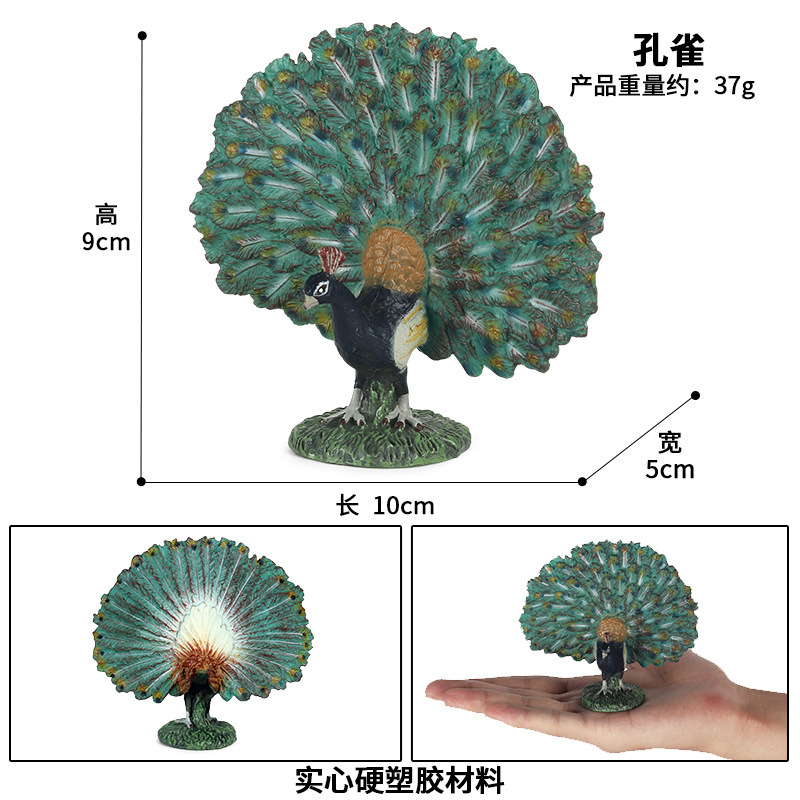 ZJS-387 Peacock
