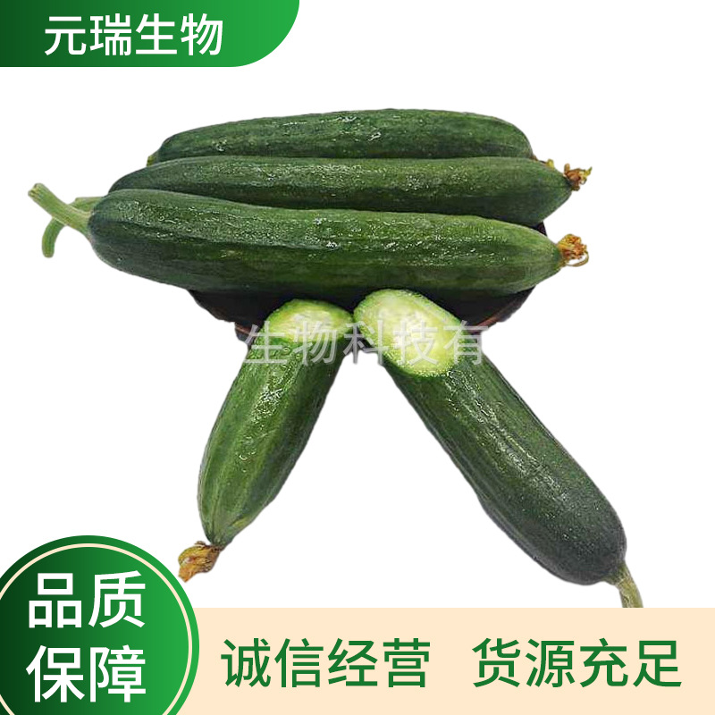 元瑞厂家直供小黄瓜提取物化妆品护肤品原料小黄瓜萃取液提取液