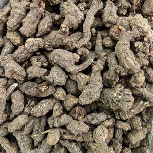 ����� ǧ������ʺ �ϱ� ����� ����� ��ș������� 500��/��