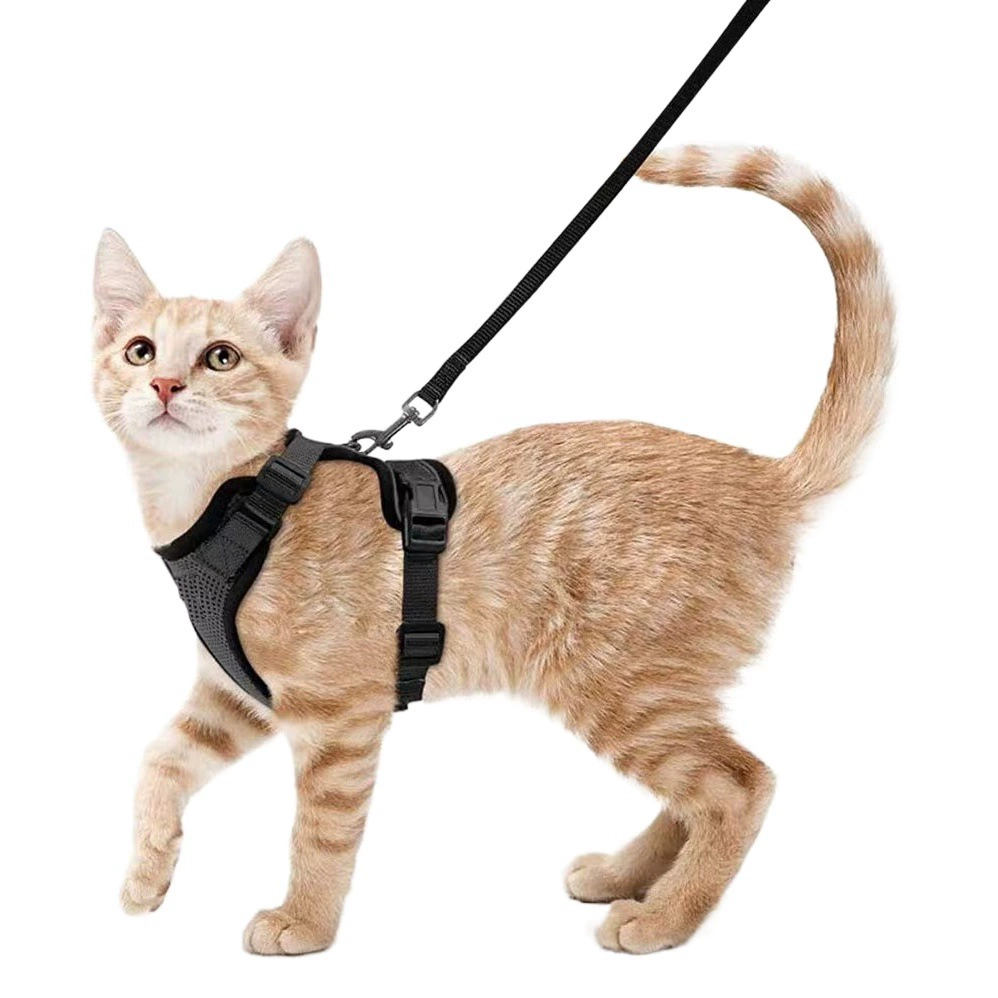 Тяговая веревка для кошек Регулируемая Тяговая веревка с защитой от разрывов Жилет для кошачьей тяги в стиле нагрудного ремня для домашних животных Летний ультратонкий