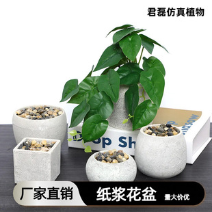 ���{�����l����ֲ�ﻨ���҃ȼҾӻ����S��ֱ�N�羳���ڌ���؛Դ