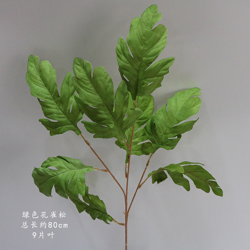 Pino Pavo Real verde