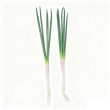 PU�l���߲�ˮ������pu���ӿ���۲˴��[ģ�͏N���[�O�zӰ����