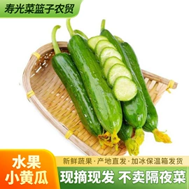 其他蔬菜;瓜果类;叶菜类