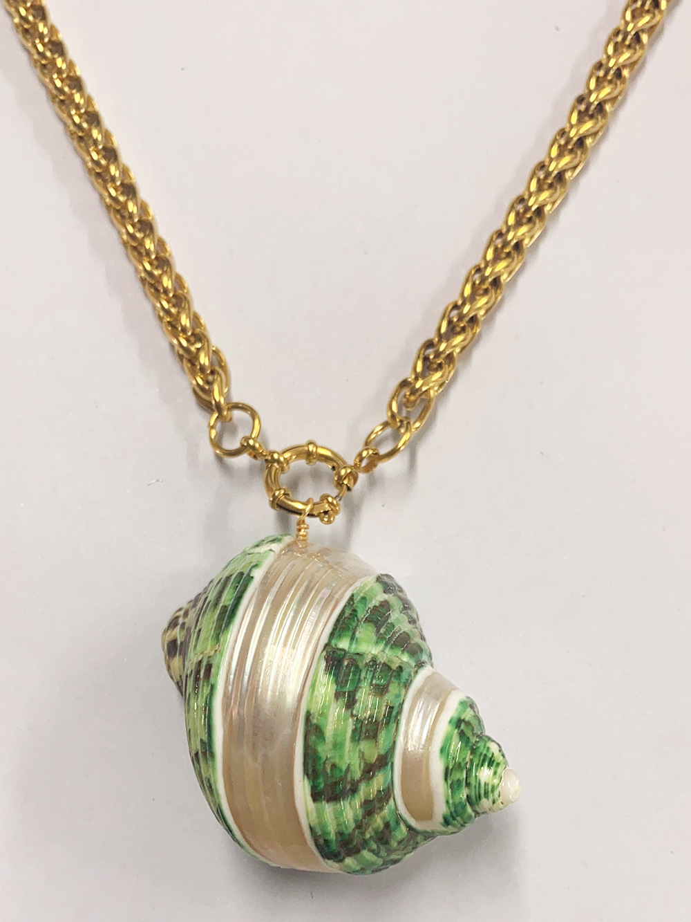 Shell Pattern Women's Gender Casual Beach Shell Shell Titanium Steel Wholesale Pendant Necklace