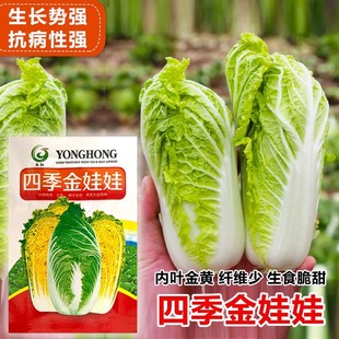 �ļ������޲˷N�� �߲˷N�� ���L�� Ʒ�|�� �����ļ����S�Ĳ˷N��