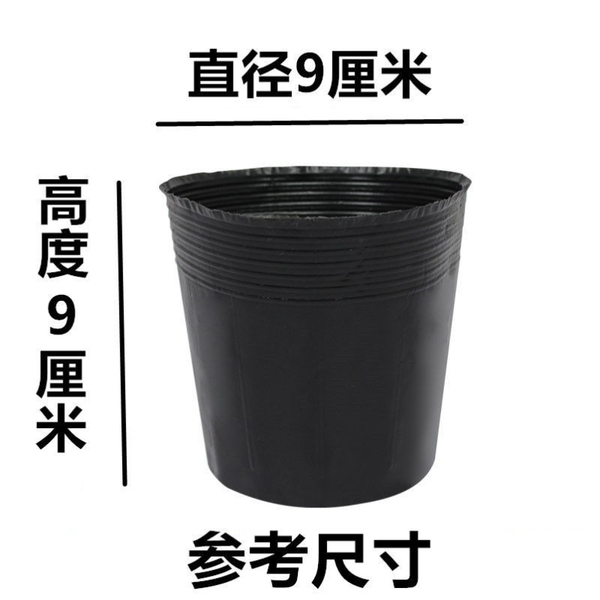 Nutrition Cup Nursery Cup Disposable Black Nutrition Cultivation Bag…
