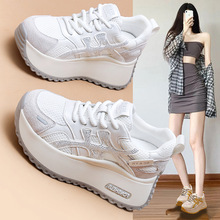 2025�＾�¿�W���װ���ŮЬ�������e�r�аٴ����ߏ͹�ŮЬ