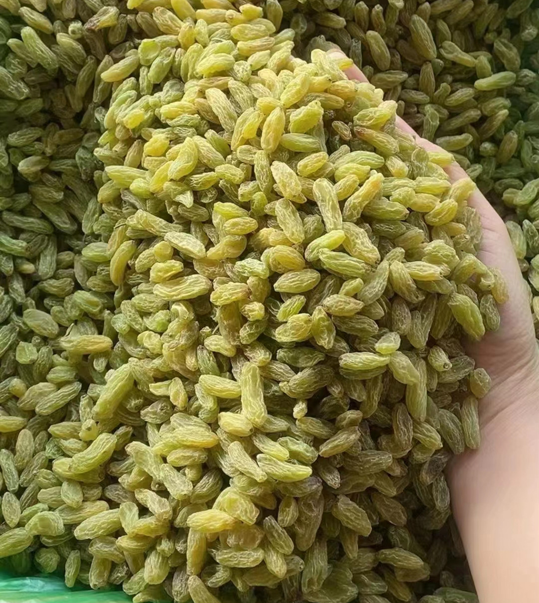 微信图片_20230405223020_副本