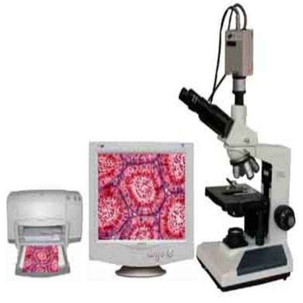 生物显微镜   ZRX-23674