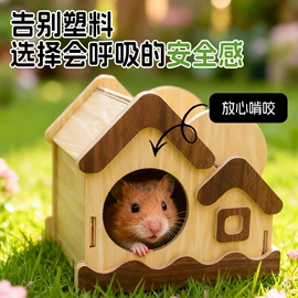仓鼠窝、笼;鸟笼;仓鼠生活用品