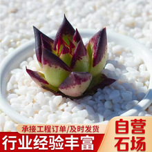 ɫʯʯˮĥʯɫϴʯ@쾰·@ˇZʯ