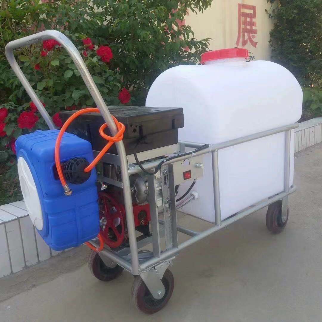 厂家消毒推车式手推式电动打药机高压农用汽油动力喷雾器打药车