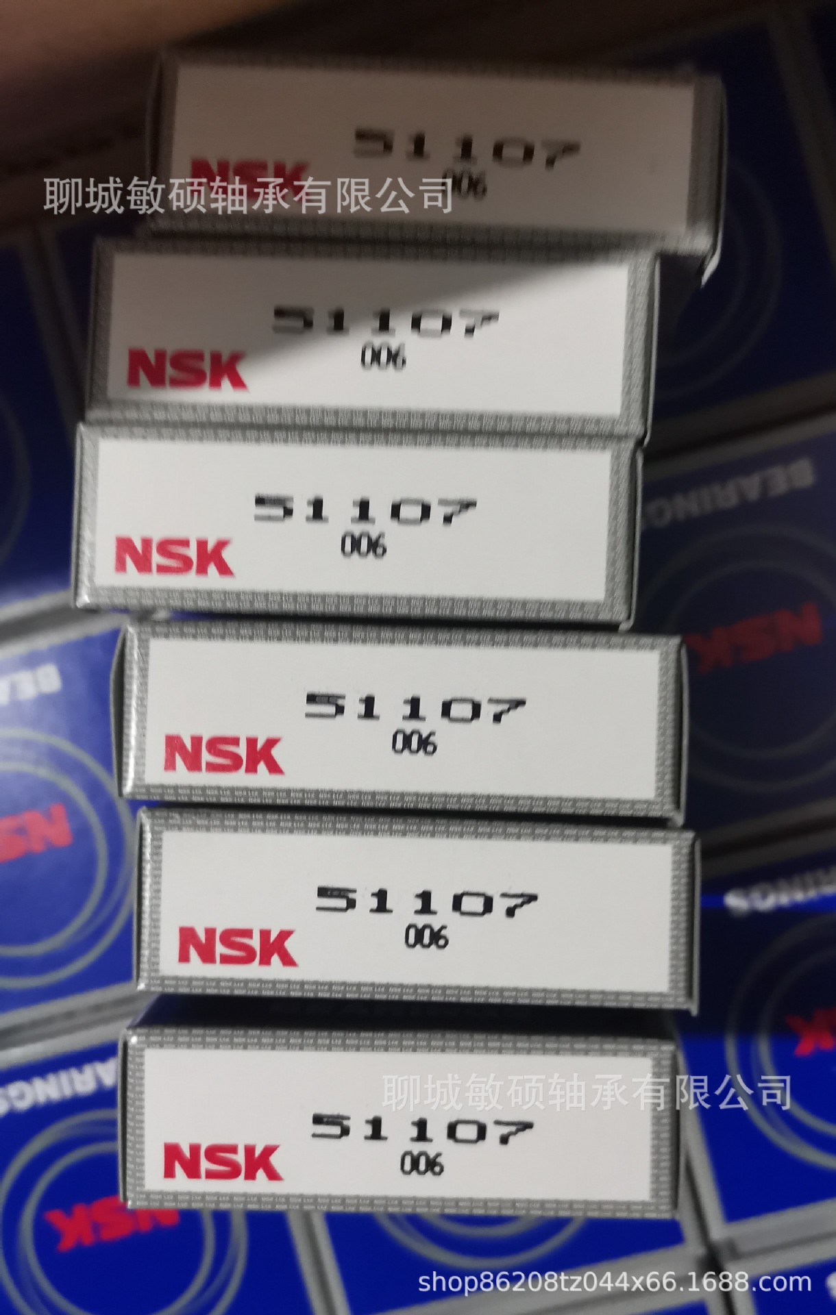 51107 NSK.jpg