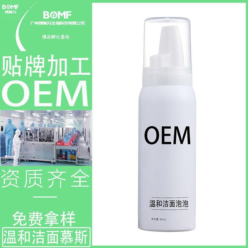 Cosmetics source Manufactor OEM Processing Moderate clean Tight Remove makeup Amino acids Cleansing Bubble Mousse