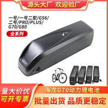 厂家直销海龙G70动力电池 E-bike电动车36V 48V大容量锂电池