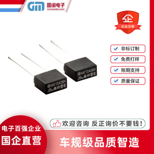 SAT SBT plastic square fuse T1A T2A T3A T4A T5A T6.3A T8A T10A 250V