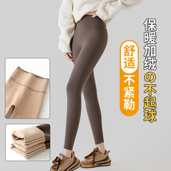 新型シャークパンツ レディース 秋冬2025 ハイウエスト 裏起毛 レギンス 小柄さん向け 大きいサイズ タイトヨガパンツ