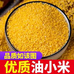 新米5斤黄米粥陝西特産小黄米農家今年新米月子五穀雑穀2斤