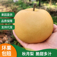 SҶlRꖴִ֧֭lй@FժFl