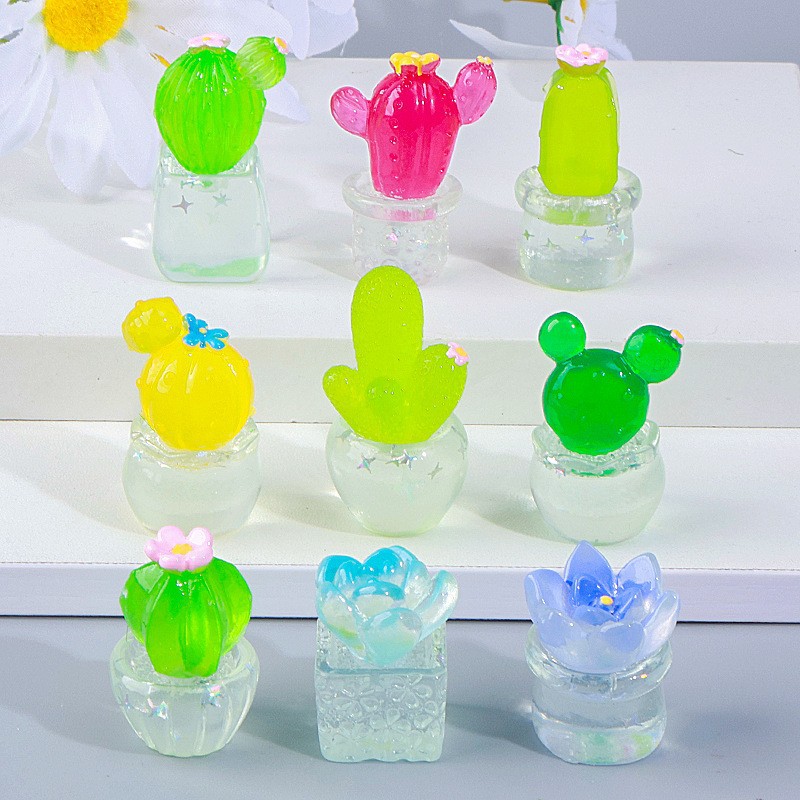 선인장 화분 투명 혼합 색상