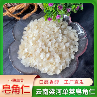 ������Ϻɻ�������خa���vѩɏ�ӷ��p�vС�����v��������