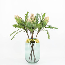 现货单头帝王花 摄影花单枝手捧花布景家居背景花墙 装饰花