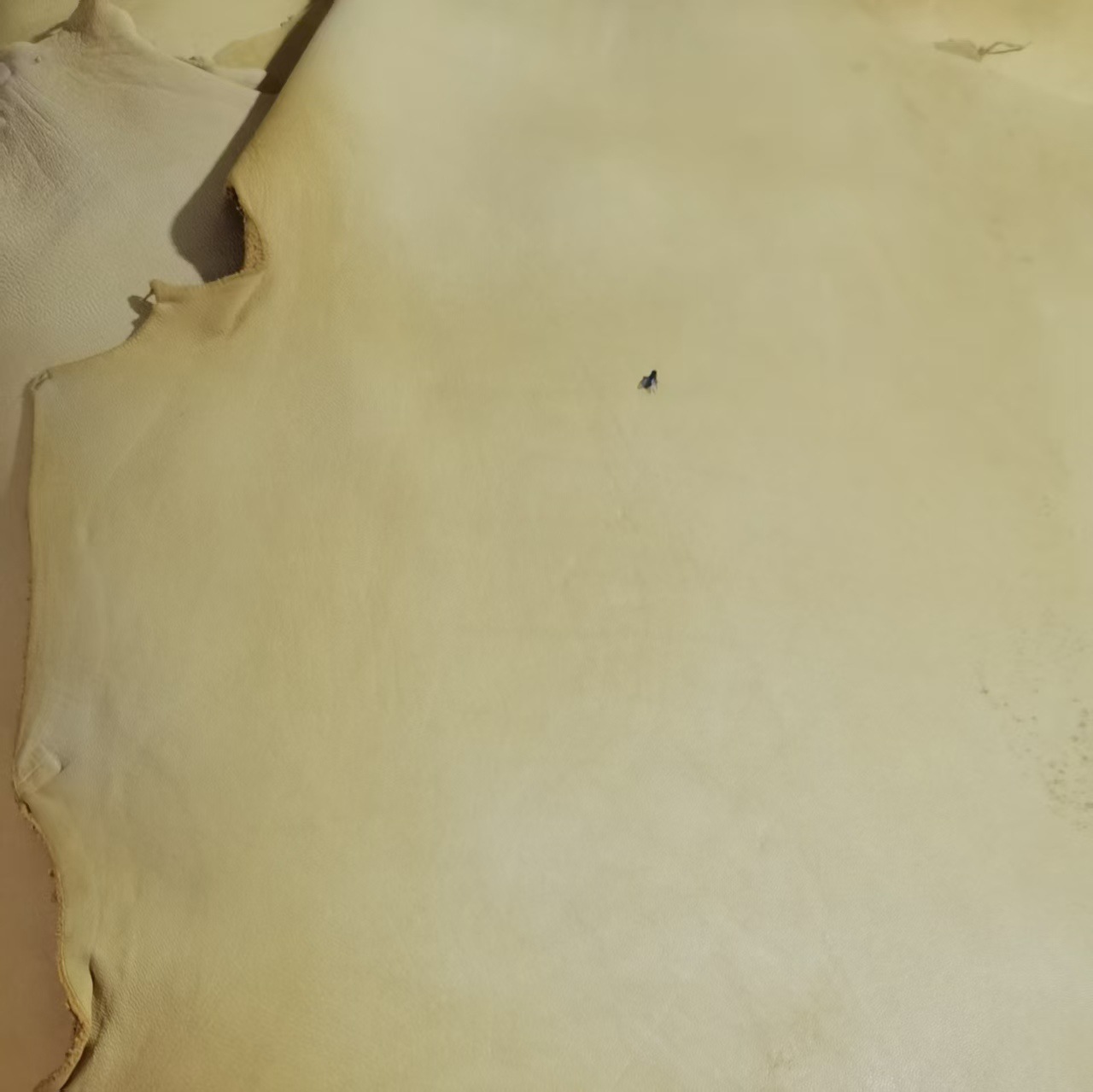 微信图片_20250509134655